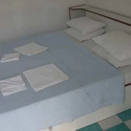 Camelia * フェティエ